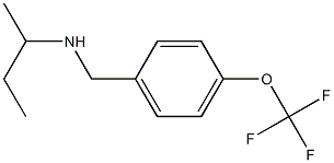 butan-2-yl({[4-(trifluoromethoxy)phenyl]methyl})amine Structure