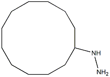 cyclododecylhydrazine Structure