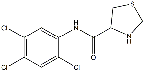 N-(2,4,5-trichlorophenyl)-1,3-thiazolidine-4-carboxamide Structure