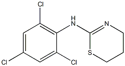 N-(2,4,6-trichlorophenyl)-5,6-dihydro-4H-1,3-thiazin-2-amine Structure