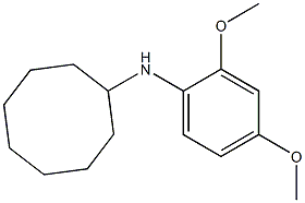 N-(2,4-dimethoxyphenyl)cyclooctanamine 구조식 이미지