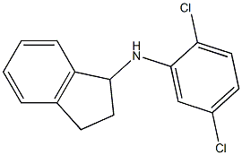 N-(2,5-dichlorophenyl)-2,3-dihydro-1H-inden-1-amine 구조식 이미지