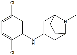 N-(2,5-dichlorophenyl)-8-methyl-8-azabicyclo[3.2.1]octan-3-amine Structure