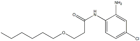 N-(2-amino-4-chlorophenyl)-3-(hexyloxy)propanamide 구조식 이미지