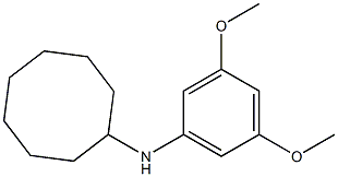 N-(3,5-dimethoxyphenyl)cyclooctanamine 구조식 이미지