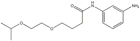 N-(3-aminophenyl)-4-[2-(propan-2-yloxy)ethoxy]butanamide 구조식 이미지