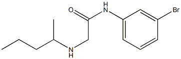 N-(3-bromophenyl)-2-(pentan-2-ylamino)acetamide 구조식 이미지