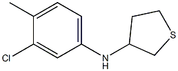 N-(3-chloro-4-methylphenyl)thiolan-3-amine Structure