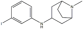 N-(3-iodophenyl)-8-methyl-8-azabicyclo[3.2.1]octan-3-amine 구조식 이미지