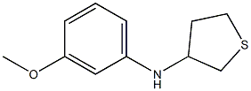 N-(3-methoxyphenyl)thiolan-3-amine 구조식 이미지