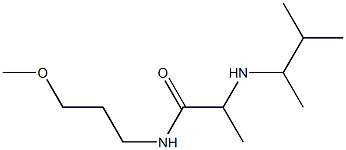 N-(3-methoxypropyl)-2-[(3-methylbutan-2-yl)amino]propanamide 구조식 이미지