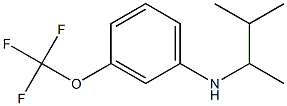 N-(3-methylbutan-2-yl)-3-(trifluoromethoxy)aniline 구조식 이미지