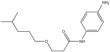 N-(4-aminophenyl)-3-[(4-methylpentyl)oxy]propanamide 구조식 이미지