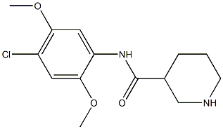 N-(4-chloro-2,5-dimethoxyphenyl)piperidine-3-carboxamide 구조식 이미지