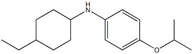 N-(4-ethylcyclohexyl)-4-(propan-2-yloxy)aniline 구조식 이미지