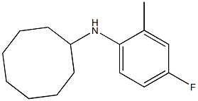 N-(4-fluoro-2-methylphenyl)cyclooctanamine 구조식 이미지