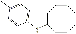 N-(4-methylphenyl)cyclooctanamine 구조식 이미지