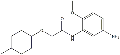 N-(5-amino-2-methoxyphenyl)-2-[(4-methylcyclohexyl)oxy]acetamide 구조식 이미지