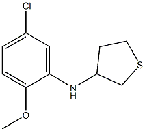 N-(5-chloro-2-methoxyphenyl)thiolan-3-amine 구조식 이미지