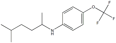 N-(5-methylhexan-2-yl)-4-(trifluoromethoxy)aniline Structure