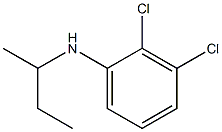 N-(butan-2-yl)-2,3-dichloroaniline Structure