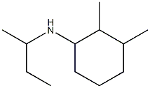 N-(butan-2-yl)-2,3-dimethylcyclohexan-1-amine Structure