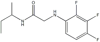 N-(butan-2-yl)-2-[(2,3,4-trifluorophenyl)amino]acetamide 구조식 이미지