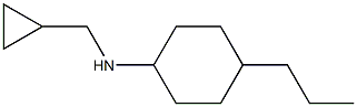 N-(cyclopropylmethyl)-4-propylcyclohexan-1-amine Structure