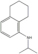 N-(propan-2-yl)-5,6,7,8-tetrahydronaphthalen-1-amine Structure