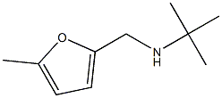 N-(tert-butyl)-N-[(5-methyl-2-furyl)methyl]amine Structure