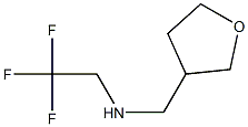 N-(tetrahydrofuran-3-ylmethyl)-N-(2,2,2-trifluoroethyl)amine 구조식 이미지