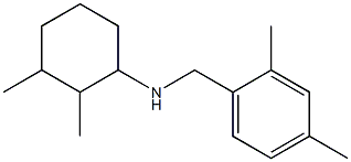 N-[(2,4-dimethylphenyl)methyl]-2,3-dimethylcyclohexan-1-amine 구조식 이미지