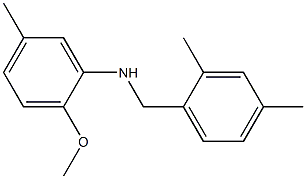 N-[(2,4-dimethylphenyl)methyl]-2-methoxy-5-methylaniline 구조식 이미지