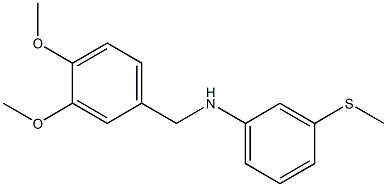 N-[(3,4-dimethoxyphenyl)methyl]-3-(methylsulfanyl)aniline 구조식 이미지