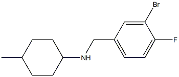 N-[(3-bromo-4-fluorophenyl)methyl]-4-methylcyclohexan-1-amine Structure