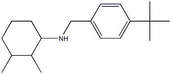 N-[(4-tert-butylphenyl)methyl]-2,3-dimethylcyclohexan-1-amine Structure