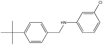 N-[(4-tert-butylphenyl)methyl]-3-chloroaniline 구조식 이미지