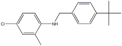 N-[(4-tert-butylphenyl)methyl]-4-chloro-2-methylaniline 구조식 이미지