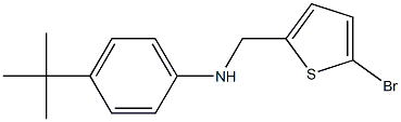 N-[(5-bromothiophen-2-yl)methyl]-4-tert-butylaniline 구조식 이미지