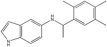 N-[1-(2,4,5-trimethylphenyl)ethyl]-1H-indol-5-amine 구조식 이미지