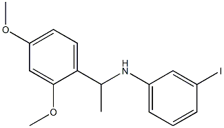 N-[1-(2,4-dimethoxyphenyl)ethyl]-3-iodoaniline 구조식 이미지