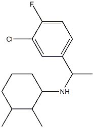 N-[1-(3-chloro-4-fluorophenyl)ethyl]-2,3-dimethylcyclohexan-1-amine 구조식 이미지