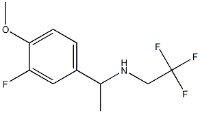 N-[1-(3-fluoro-4-methoxyphenyl)ethyl]-N-(2,2,2-trifluoroethyl)amine Structure