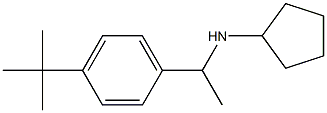 N-[1-(4-tert-butylphenyl)ethyl]cyclopentanamine Structure