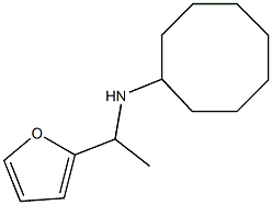 N-[1-(furan-2-yl)ethyl]cyclooctanamine 구조식 이미지