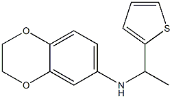 N-[1-(thiophen-2-yl)ethyl]-2,3-dihydro-1,4-benzodioxin-6-amine Structure