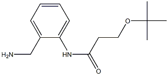 N-[2-(aminomethyl)phenyl]-3-(tert-butoxy)propanamide Structure
