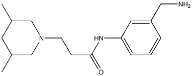 N-[3-(aminomethyl)phenyl]-3-(3,5-dimethylpiperidin-1-yl)propanamide 구조식 이미지
