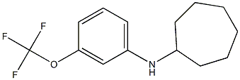 N-[3-(trifluoromethoxy)phenyl]cycloheptanamine 구조식 이미지