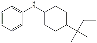 N-[4-(2-methylbutan-2-yl)cyclohexyl]aniline Structure